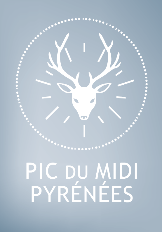 Création graphique pour des affiches, objets pour le Pic et l'office du tourisme de Bagnères-de-Bigorre